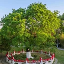 盐城东台天发旅游 - 盐城市旅游 缩略图 6