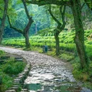 杭州西湖风景名胜区-敕建净慈禅寺 - 杭州市旅游 缩略图 8