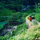 万卷书台景区 - 重庆市旅游 缩略图 9