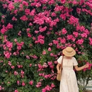 空港新城云间花海 - 咸阳市旅游 缩略图 4