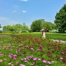 中国科学院武汉植物园 - 武汉市旅游 缩略图 6