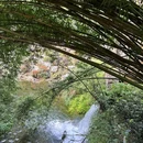 成都市植物园 - 成都市旅游 缩略图 6