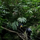 高黎贡山山脉 - 保山市旅游 缩略图 4