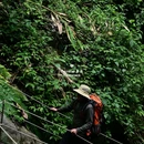 高黎贡山山脉 - 保山市旅游 缩略图 5
