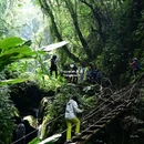 高黎贡山山脉 - 保山市旅游 缩略图 3