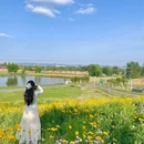 青龙湖 - 自贡市旅游 缩略图 4