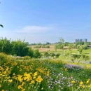 青龙湖 - 自贡市旅游 缩略图 7