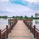 滨湖湿地森林公园 - 合肥市旅游 缩略图 4