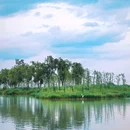 滨湖湿地森林公园 - 合肥市旅游 缩略图 3