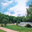 滨湖湿地森林公园 - 合肥市旅游 缩略图 2