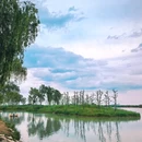 滨湖湿地森林公园 - 合肥市旅游 缩略图 9