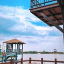 滨湖湿地森林公园 - 合肥市旅游 缩略图 6