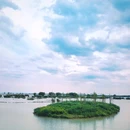滨湖湿地森林公园 - 合肥市旅游 缩略图 7