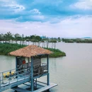 滨湖湿地森林公园 - 合肥市旅游 缩略图 8