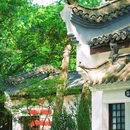 浮庄 - 合肥市旅游 缩略图 4