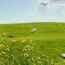 武汉九真山风景区 - 武汉市旅游 缩略图 5