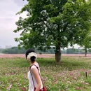 海珠国家湿地公园-海珠湖 - 广州市旅游 缩略图 1