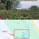 深圳湾公园 - 深圳市旅游 缩略图 3