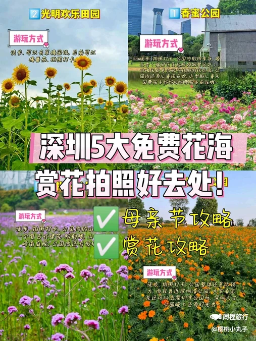 深圳湾公园 - 深圳市旅游