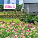 深圳湾公园 - 深圳市旅游 缩略图 4