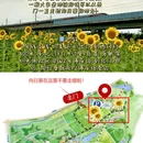 深圳湾公园 - 深圳市旅游 缩略图 6