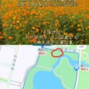 深圳湾公园 - 深圳市旅游 缩略图 9