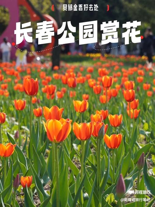 长春公园 - 长春市旅游