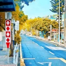 官湖村 - 深圳市旅游 缩略图 2