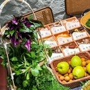 山茑茑山野火锅(上海首店) - 上海市旅游 缩略图 5