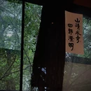 乐斋lezhai·融合素食创意菜(南郊公园店) - 长沙市旅游 缩略图 4