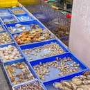 潮汕楚兴大排档. 海鲜砂锅粥·团建聚餐 - 深圳市旅游 缩略图 9