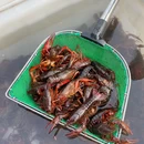 无非QU金榜·盱眙龙虾·东北烧烤·江湖菜(星耀城店) - 杭州市旅游 缩略图 9
