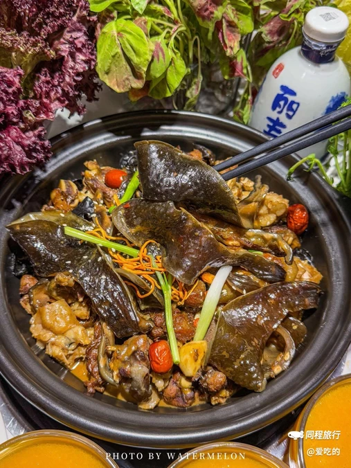 神农甲·甲鱼小馆(文二路店) - 杭州市旅游