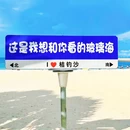 桔钓沙 - 深圳市旅游 缩略图 3
