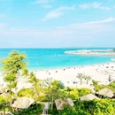 桔钓沙 - 深圳市旅游 缩略图 6