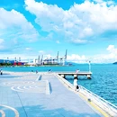 桔钓沙 - 深圳市旅游 缩略图 7
