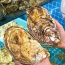 抬山蚝院·海鲜·私房菜·下午茶 - 成都旅游 缩略图 9