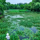 韩美林艺术馆(桃源岭) - 杭州市旅游 缩略图 1