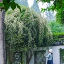 韩美林艺术馆(桃源岭) - 杭州市旅游 缩略图 6