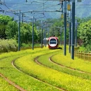 北坞公园 - 北京市旅游 缩略图 5