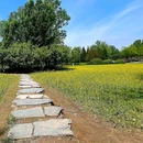 北坞公园 - 北京市旅游 缩略图 6