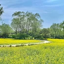 北坞公园 - 北京市旅游 缩略图 7