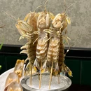 海鲨湾连锁海鲜餐厅·团建·聚餐(南澳美食中心店) - 汕头市旅游 缩略图 6