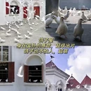 渝中区袁家岗龙湖时代汇南区(D馆一支路南) - 重庆旅游 缩略图 7