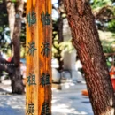 正定临济寺-澄灵塔 - 石家庄市旅游 缩略图 3