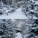 马蹄寺风光旅游区 - 张掖市旅游 缩略图 7