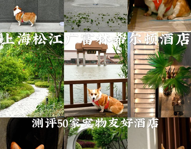 上海松江广富林希尔顿酒店 - 上海市旅游 1