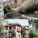 永庆坊 - 广州市旅游 缩略图 6