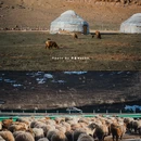 伊犁河 - 伊犁哈萨克自治州旅游 缩略图 5