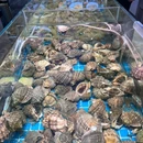 盛泰酒楼·海鲜·新鲁菜(青年路店) - 烟台市旅游 缩略图 8